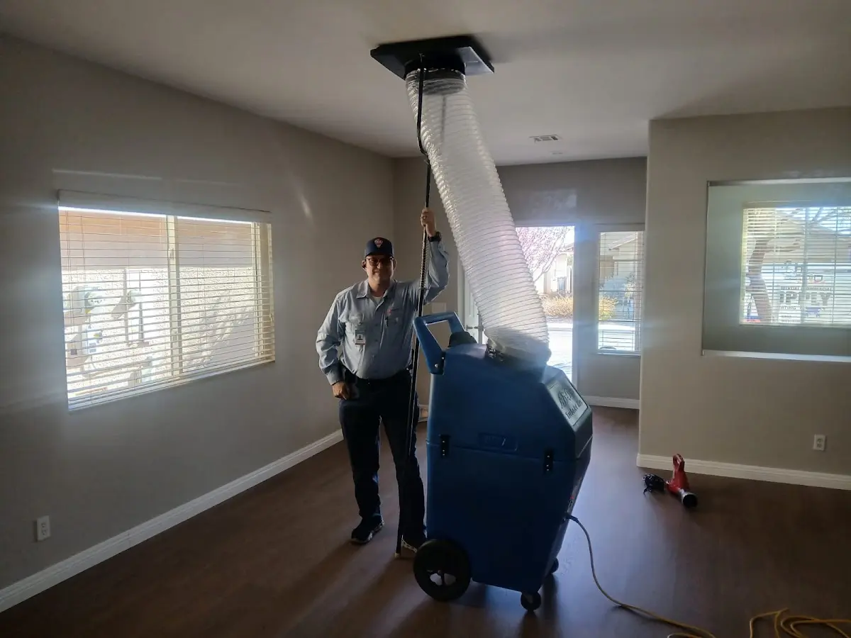 Professional Dryer Vent Cleaning work inside a East Greenwich home